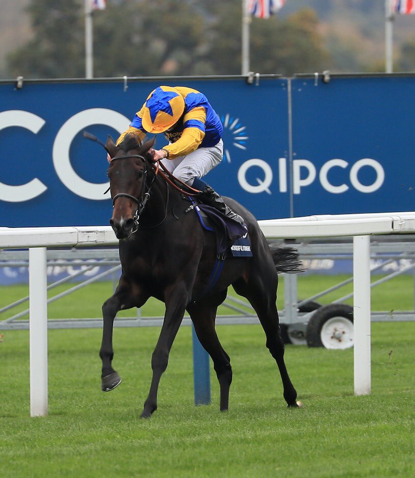 LE HAVRE - ASCOT GR.1 WINNER 💥 Wonderful Tonight 💥 bred at <a href="/MontfortPreaux/">Haras de Montfort & Préaux</a>. Many congratulations to all involved 👏