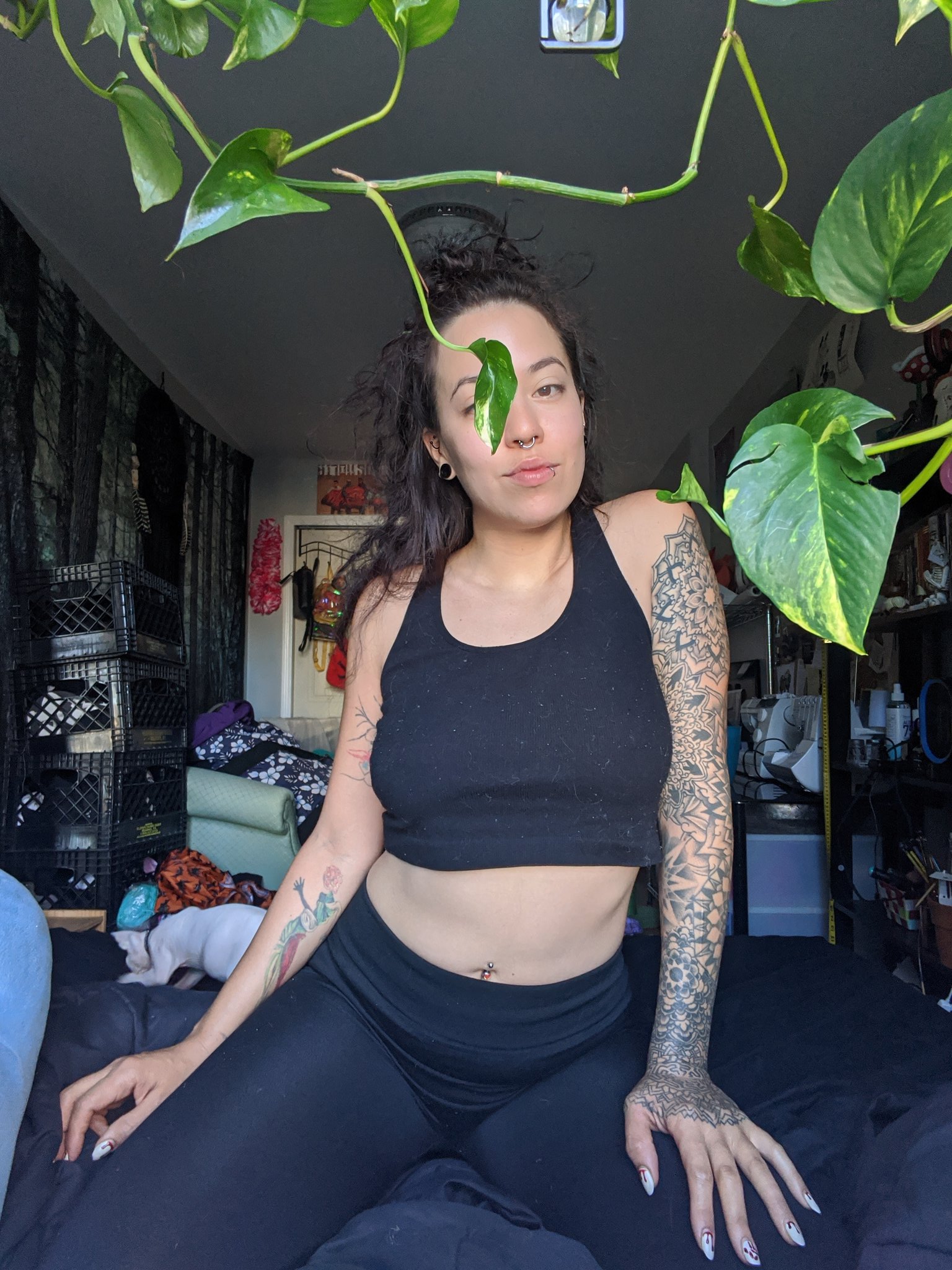 1 pic. 🍃🍃🍃 https://t.co/XPL8Gf1XCU