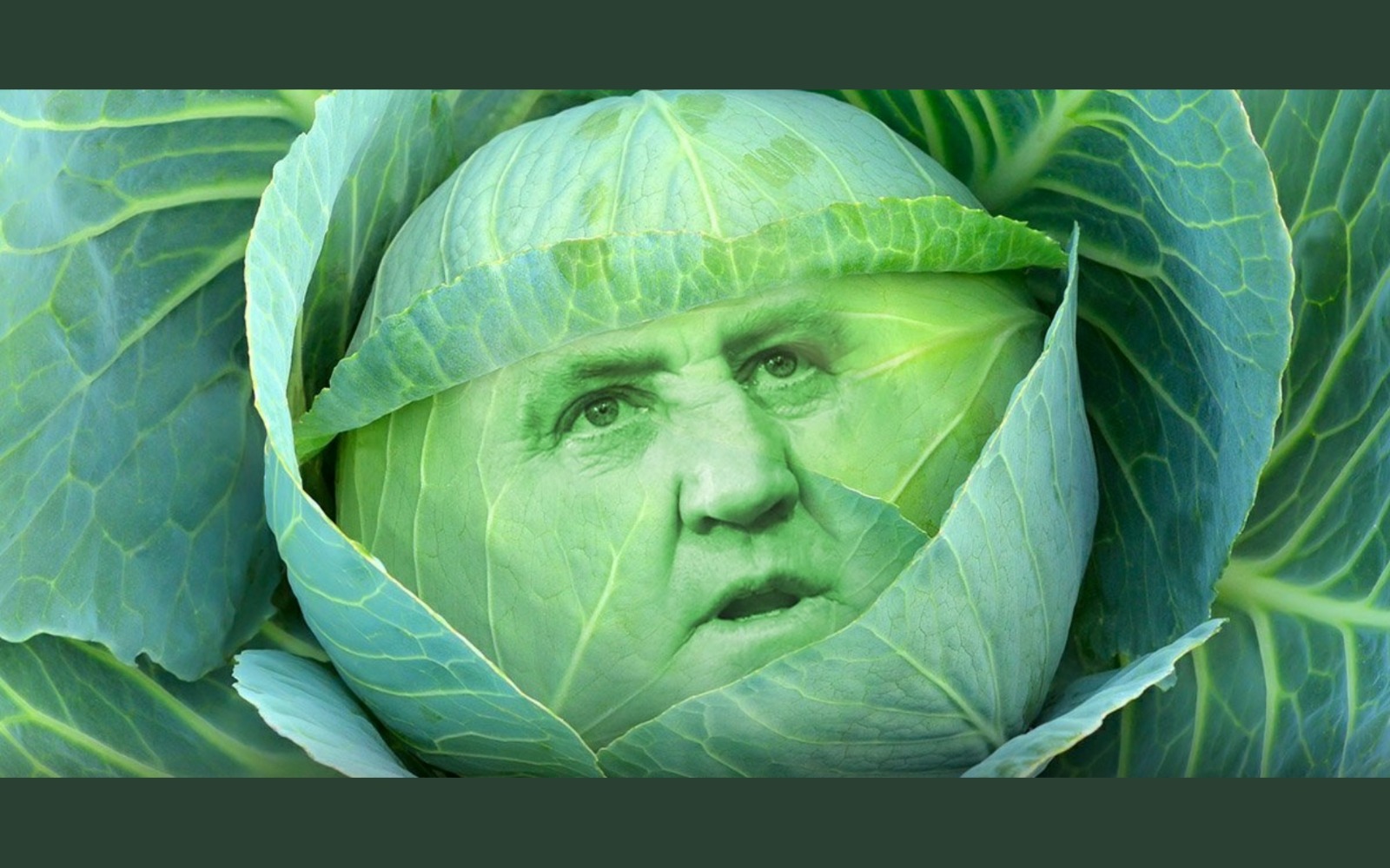 Кочан капусты Мем
