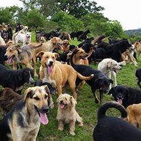 RayYecith's tweet image. 