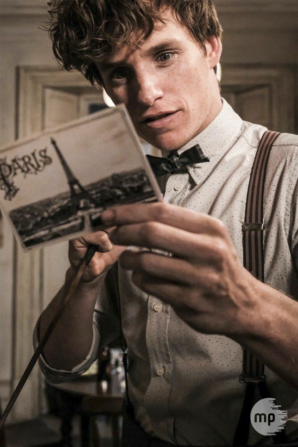 Newt Scamander y Cedric Diggory, pruebas de que los hombres de Hufflepuff son de otro nivel https://t.co/JPgFw8yBTG