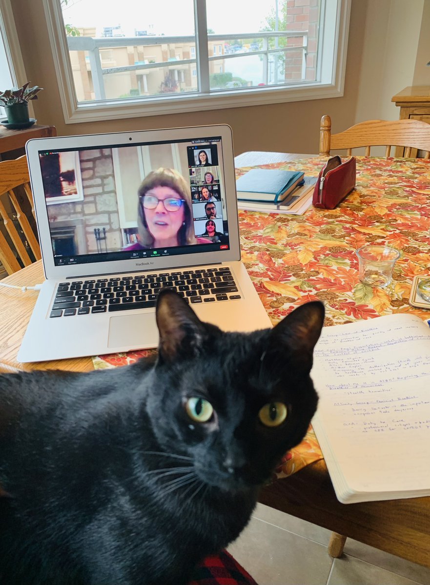 juliaegill's tweet photo. Thoughtful comments re duty of care that healthcare workers have (&amp; their related moral distress) during #COVID19 by @MMccradden &amp; great discussion /w the group! If you are at #ASBH20 worth stopping by to watch her presentation! Enjoyed by #FelineBioethicist as well #PetsofASBH20 https://t.co/WogpT3wM8G