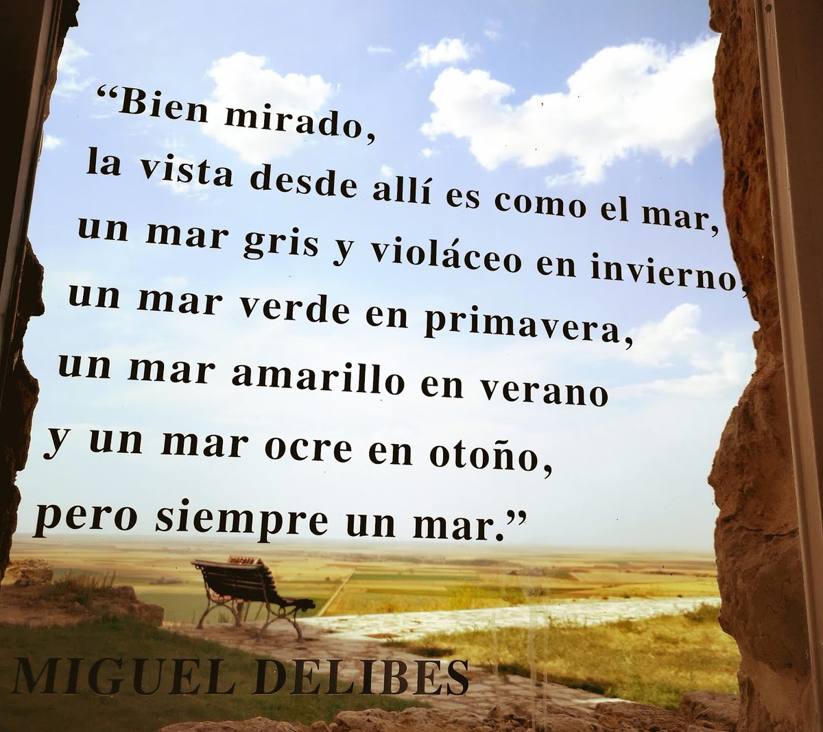 DanielGonzaloDG's tweet image. #CentenarioDelibes