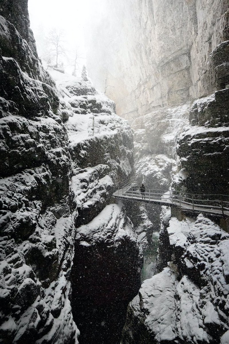 #UnsplashAwards - Nature 🗻
From stunning seascapes to wildlife captures, this category examines our planet, and beyond.
Photos by: <a href="/joshua_earle/">Joshua Earle</a>, <a href="/filipz/">Filip ↟</a>, <a href="/therawhunter/">Massimiliano Morosinotto</a>, <a href="/ansgarscheffold/">Ansgar Scheffold</a> (2019 Shortlist)
unsplash.com/awards