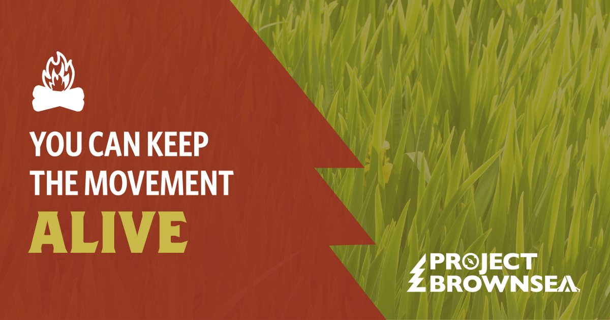 Local Councils need your support now more than ever. Find out what you can do to keep the Scouting tradition alive for generations to come: projectbrownsea.com.