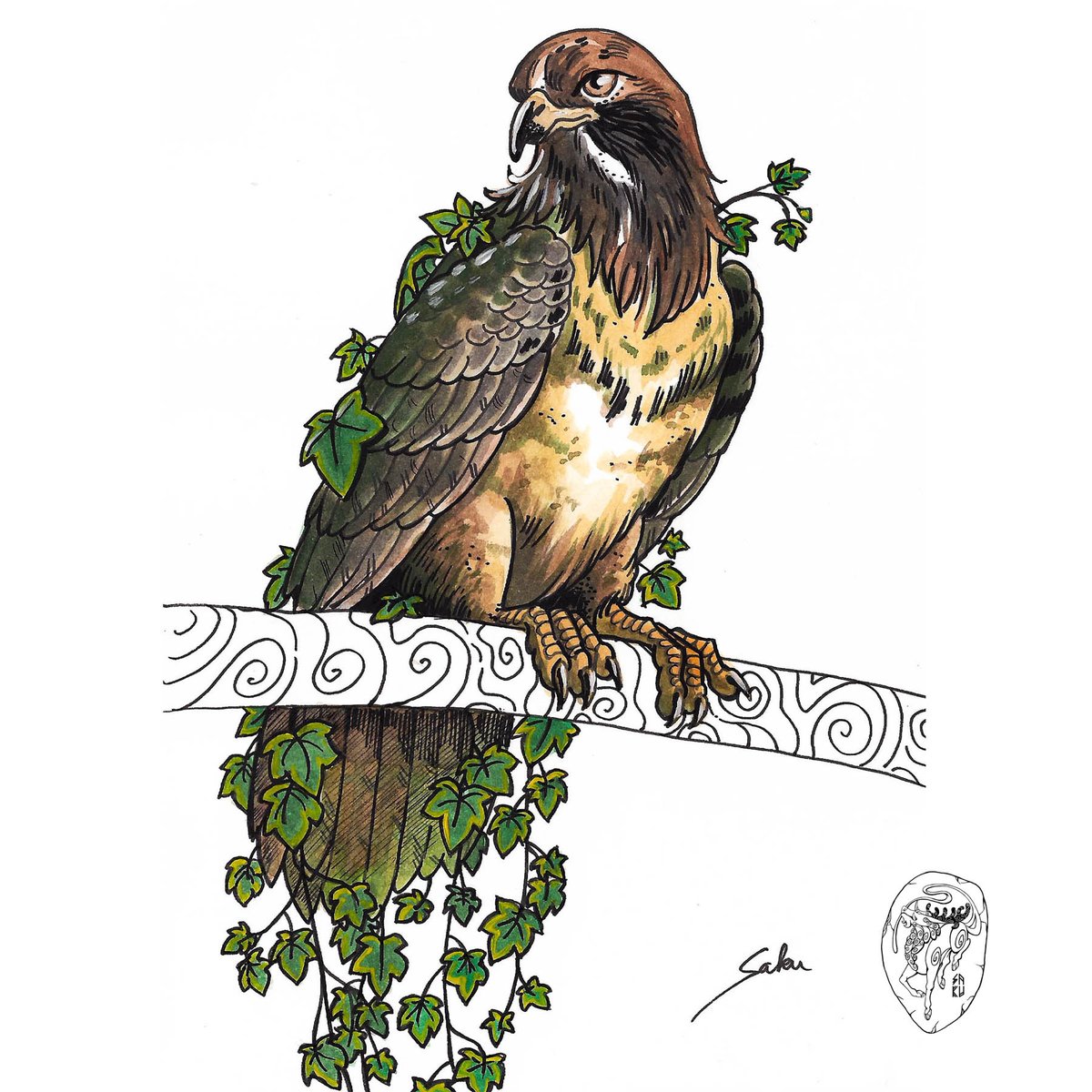 sakuartcosplay's tweet photo. Botanimals drawtober 2020 day 13-14:
🌿🦅English Ivy x Northem Harrier Hawk
🌼🐾Sweet Peas x Wombat
#keymonster #botanimals #drawtober #drawtober2020 #fantasy #fantasyart #animalart #traditionalart #watercolor #art https://t.co/1AwbfvgVPA