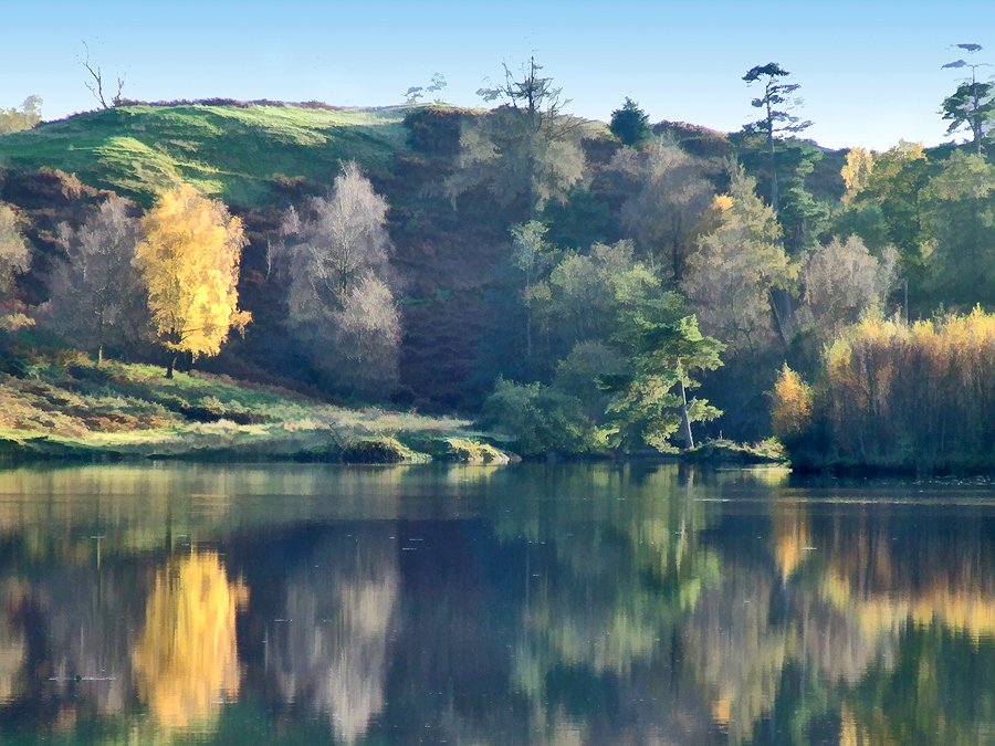 #yellow #trees 2 #autumn #reflections #tarnhows #autumnal #colour #change #nature #symmetry #photo #landscapeart #photography #photoart #landscape #art #cumbria #lakeland #Thelakes #lakedistrict #NotJustLakes #cumbriaart #artfusions #fusionart #northernart #artlovers #artnow