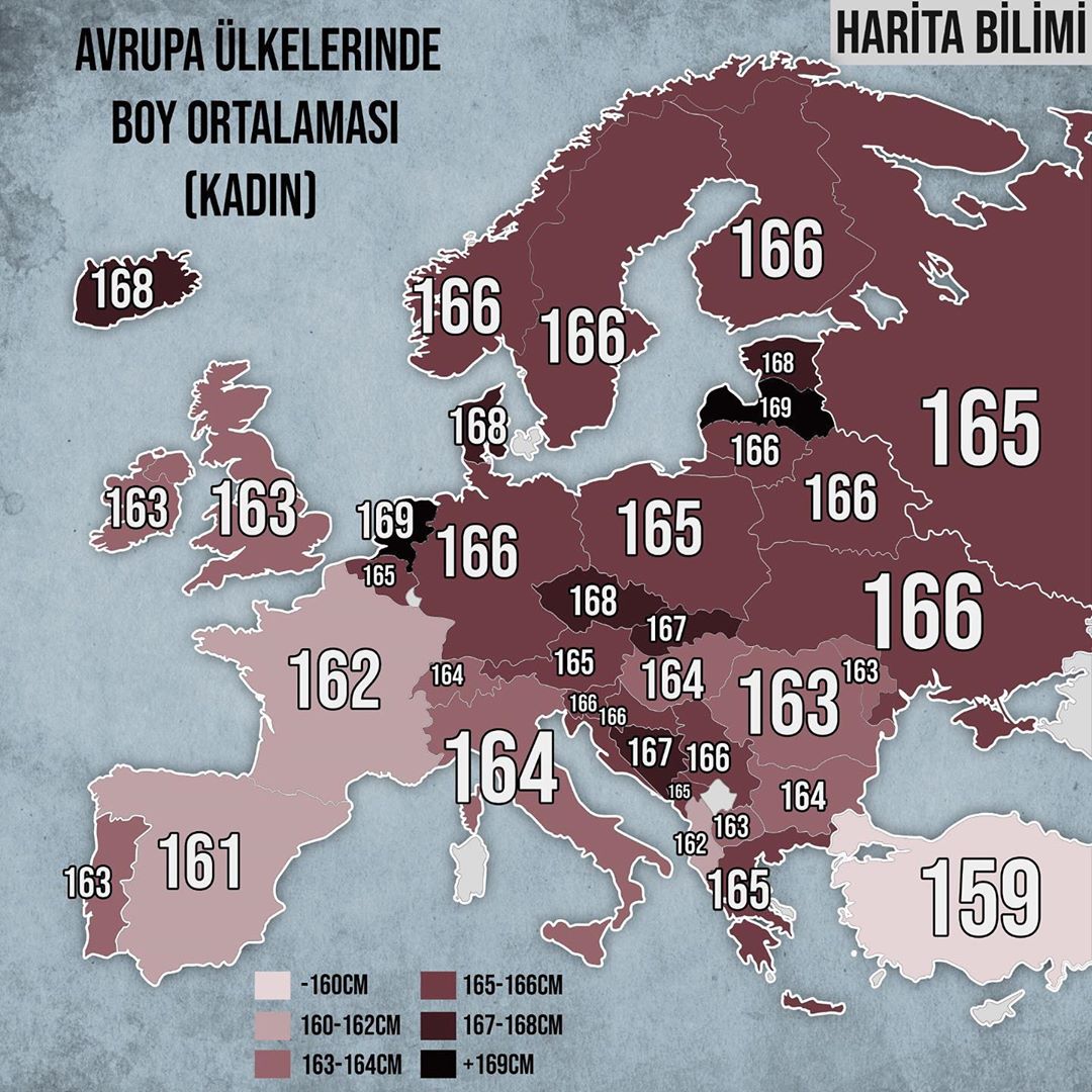 türkiye erkek boy ortalaması 2020