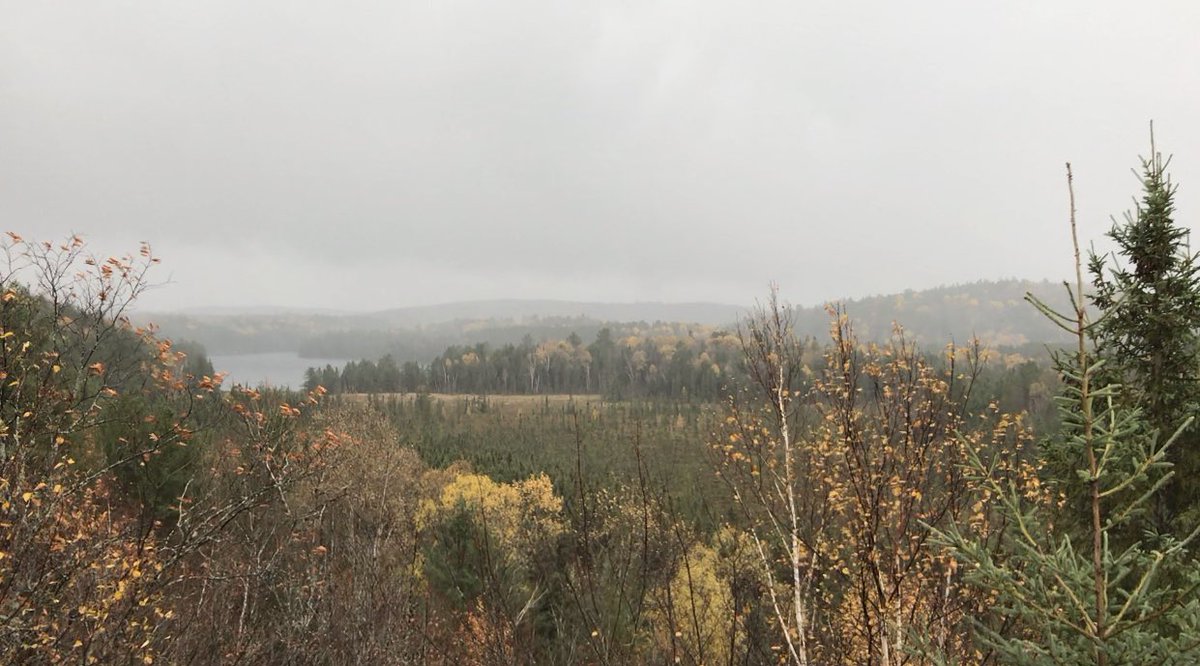 2:10pm TRAIL UPDATE
Booth’s Rock, Centennial Ridges, Lookout and Track & Tower Trails are either full or almost full.
🍂
Plan accordingly and try out some of our other great trails! https://t.co/XFidl4s0mz