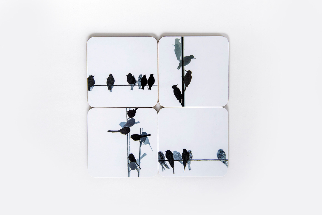 These are the 4 designs in Sandra Vick coaster sets : woodpecker, starlings, long-tailed tits and swallows.
All these birds are found in gardens and woodlands across the UK.
Available online at sandravick.co.uk/collections/co…
 #btobirds #rspb #birdlover #nativeb