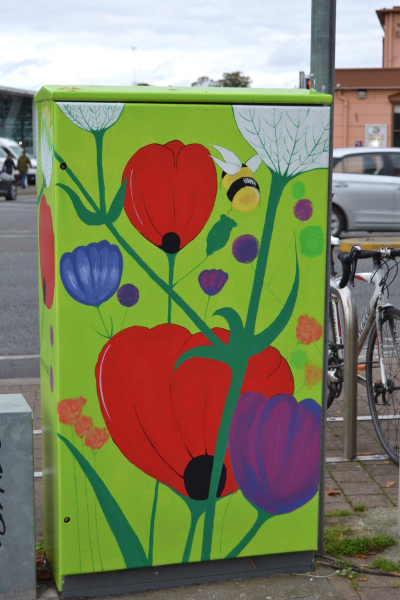 eefabeef's tweet image. Dublin canvas box done. What an experience!The public were so friendly and appreciative of the streets being brightened. Lots of positive feedback. This was based on a wild garden &amp;amp; my dad who has spent most of his time in the garden the last few months. A break from the computer