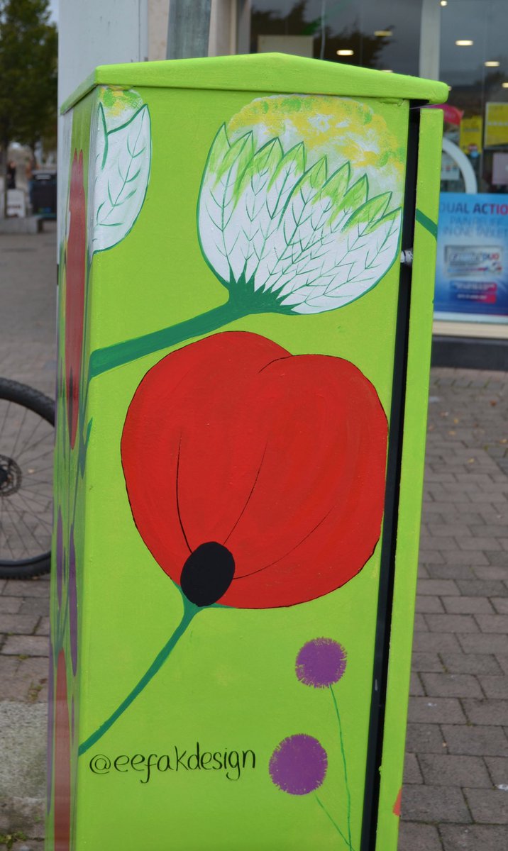 eefabeef's tweet image. Dublin canvas box done. What an experience!The public were so friendly and appreciative of the streets being brightened. Lots of positive feedback. This was based on a wild garden &amp;amp; my dad who has spent most of his time in the garden the last few months. A break from the computer