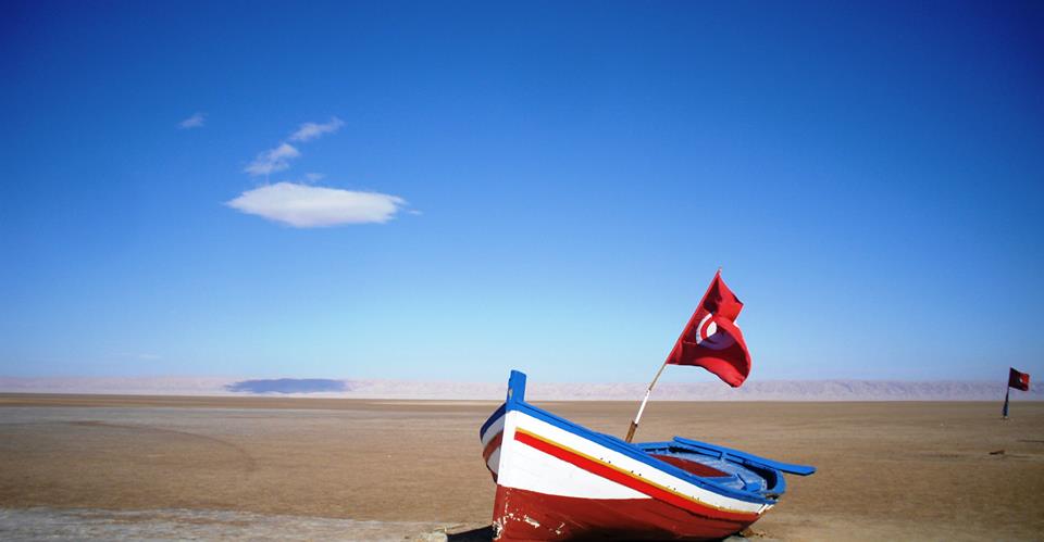MaghrebBeauty's tweet photo. Chott el-Jérid, Tunisie https://t.co/VT0KaQFrfB