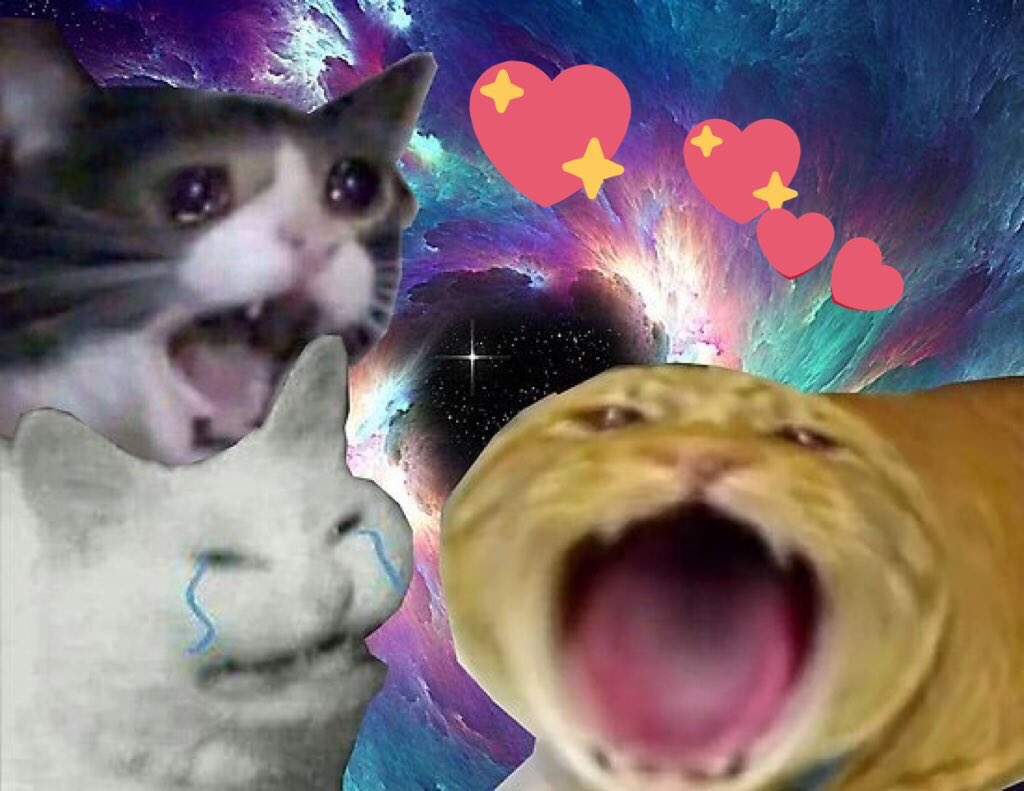 Орущий Плачущий кот