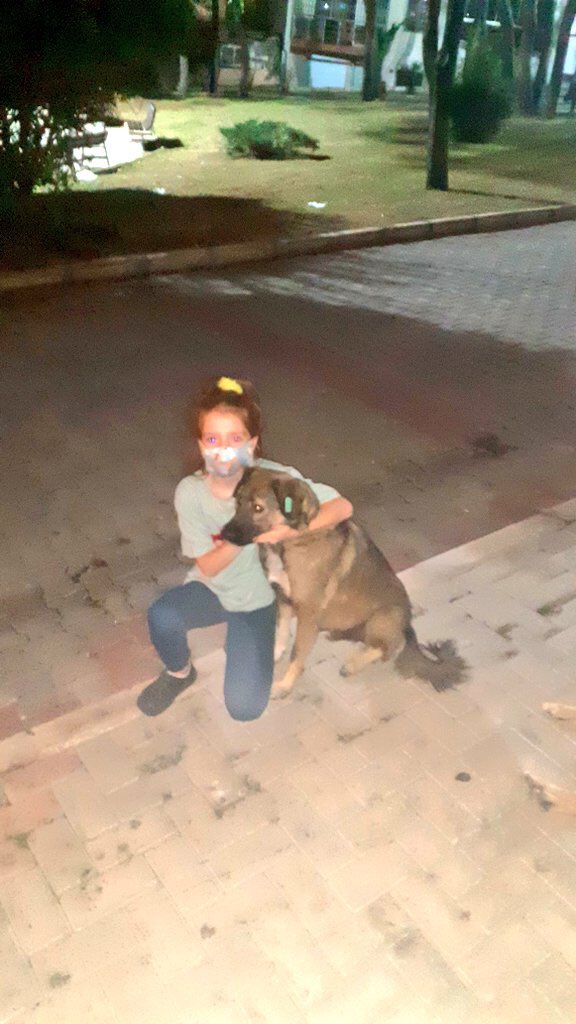 İzmir Karabağlar belediyesi ve Ali Fuat Cebesoy Mahallesi 9135/2 Neşet Ertaş Parkı  Sokak...Muhtarı Talip.D küpeli çocuğu hangi egoyla yasayı ihlal edip nereye götürdünüz derhal yaşam alanı parka geri getirip asli göreviniz işlere bakıp düşün bu çocukların yakasından!!!!@