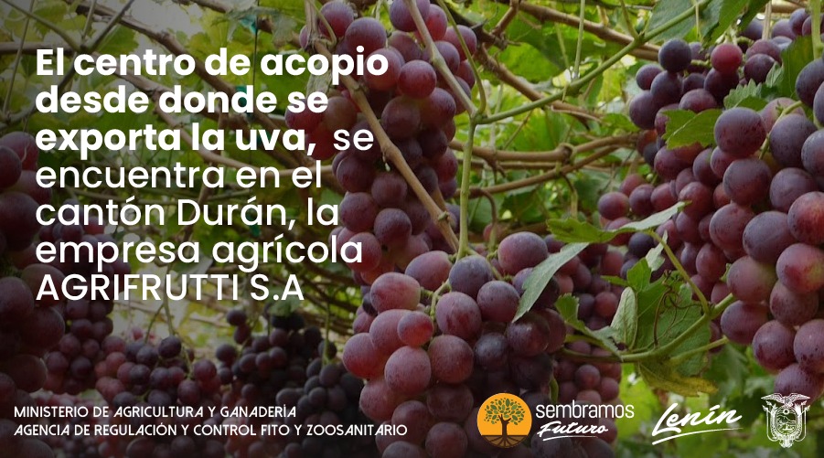#ExportamosCalidad | Este tipo de exportaciones con una motivación para continuar trabajando por el desarrollo del sector agroexportador. #SembramosFuturo