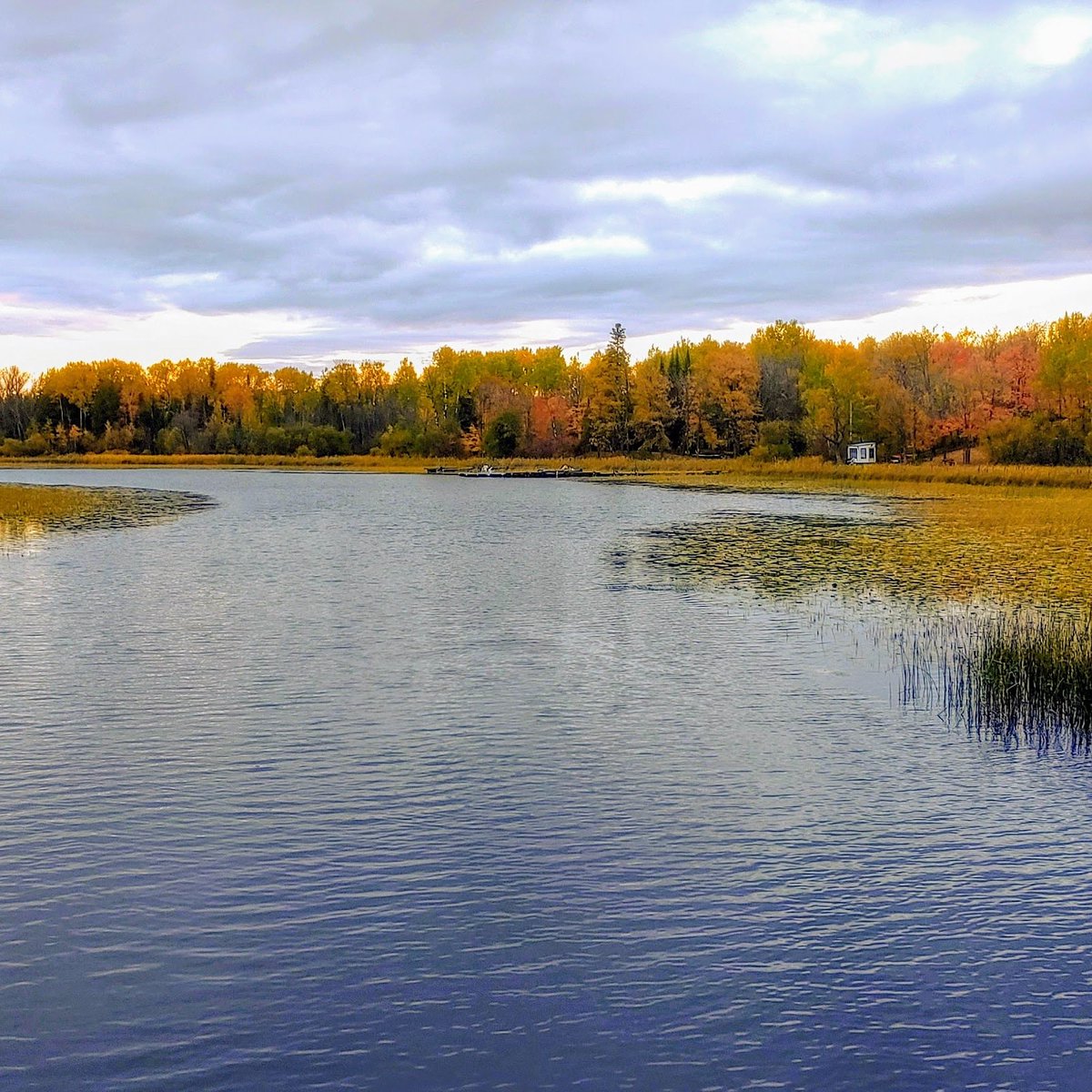 HalKScott's tweet image. Spring lake, mn