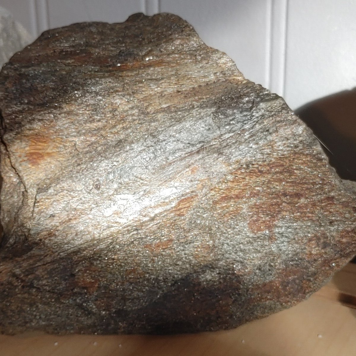 HalKScott's tweet image. 