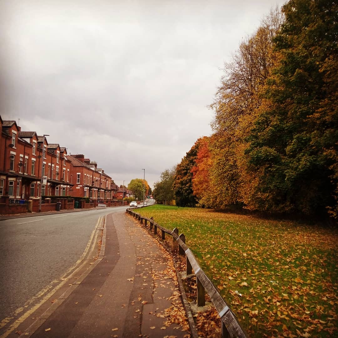 Autumn in #Manchester ✨ #nature #autumnvibes #autumn #autumncolours #naturephotography #CheethamHill #landscape #landscapephotography 🍂