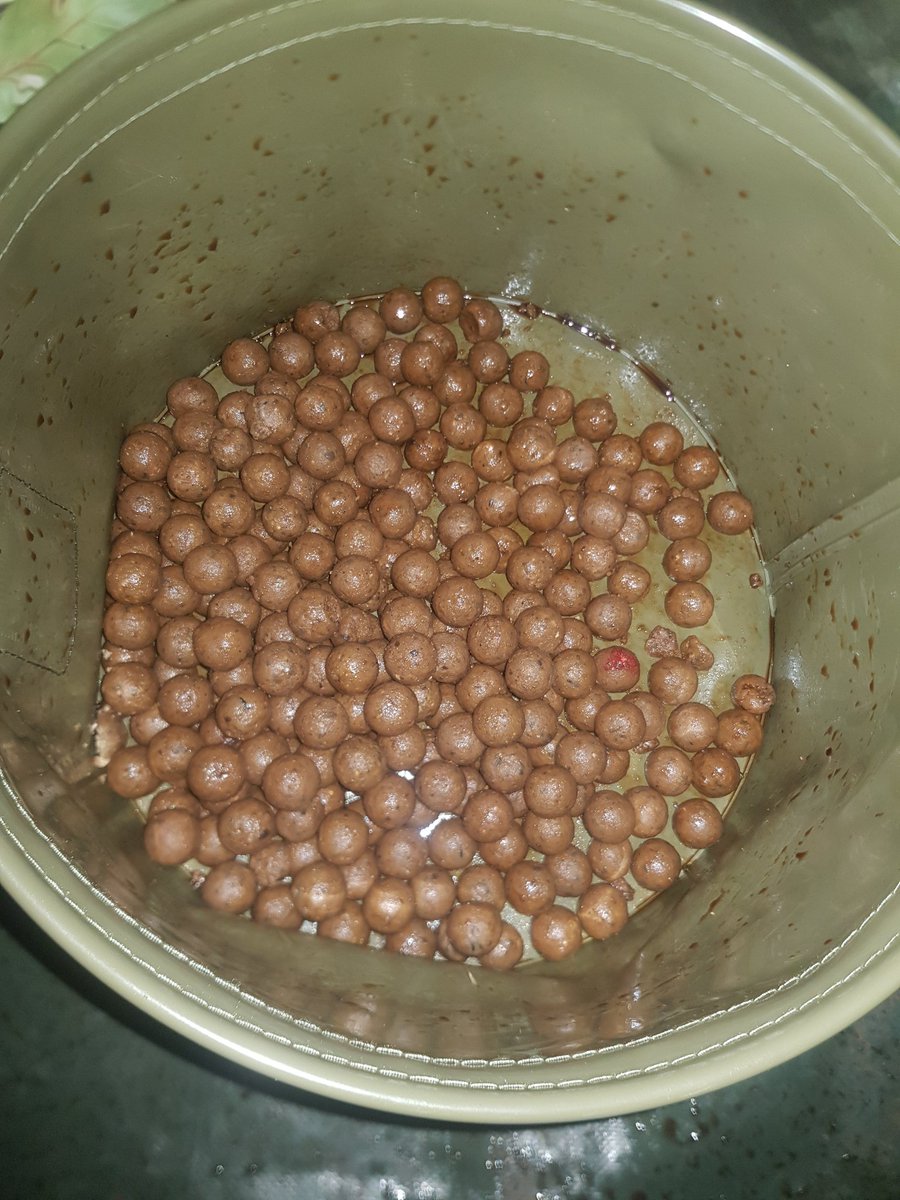 22 pound 10 new PB boys and girls whoop whoop couldn't resist the SAS soaked in liquid gold #newpb #epicbaitsuk