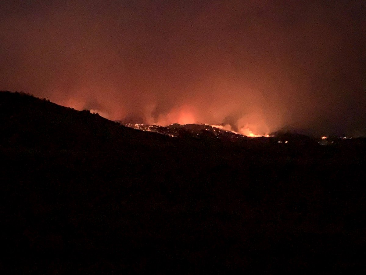 Mara Mintzer tweet media