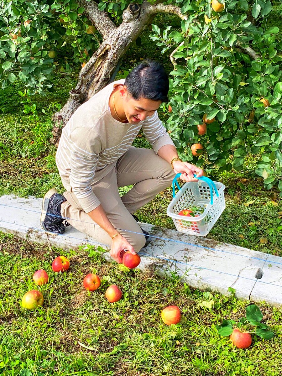 hotspot_prince's tweet photo. An🍎a day keeps the👨🏻‍⚕️away!(If you throw hard enough)🤣 #applepicking #31daysofHalloween https://t.co/PpKOHAYSjD