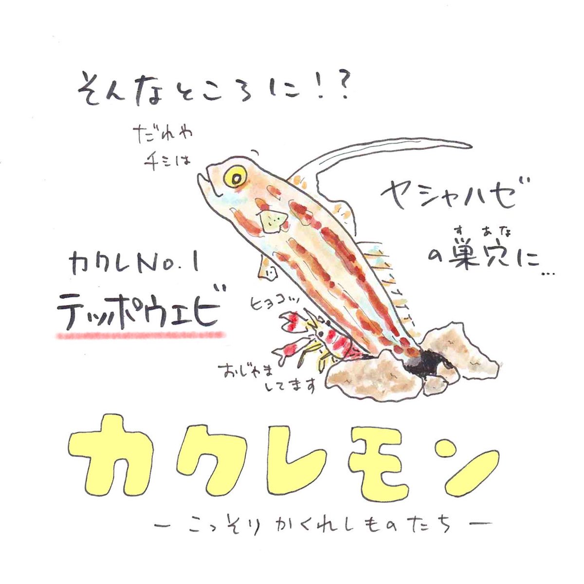 海の中のひとりかくれんぼ。どうしてそこに…?! 