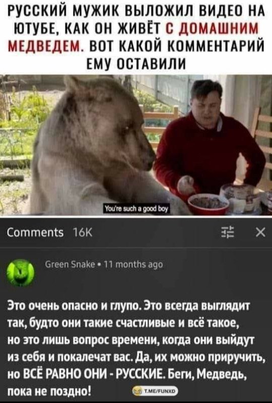 Ведмедям на замітку...