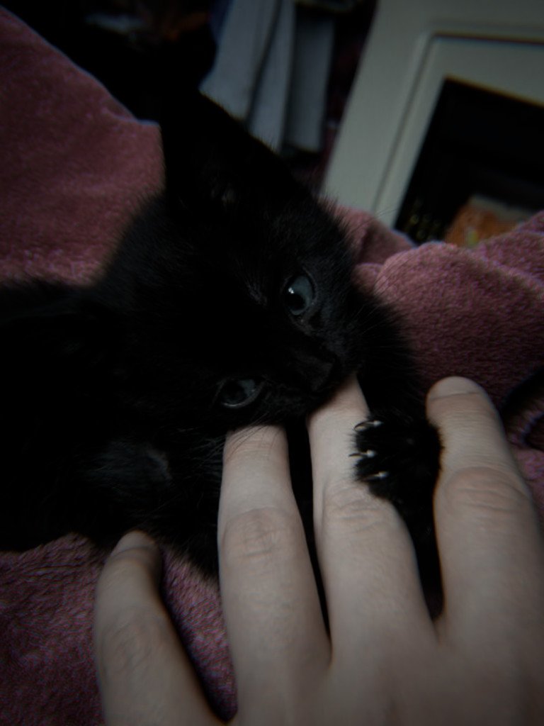 ⠀⠀⠀⠀⠀⠀  #FamilyDay : bαbꭚ · 𔘓
⠀⠀⠀⠀⠀⠀  ⠀⠀you'rē 𝗽erfect!
#unisqd