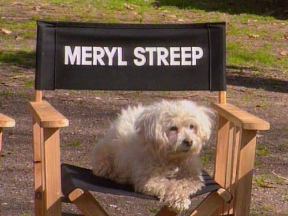 Is there anything she can’t do?