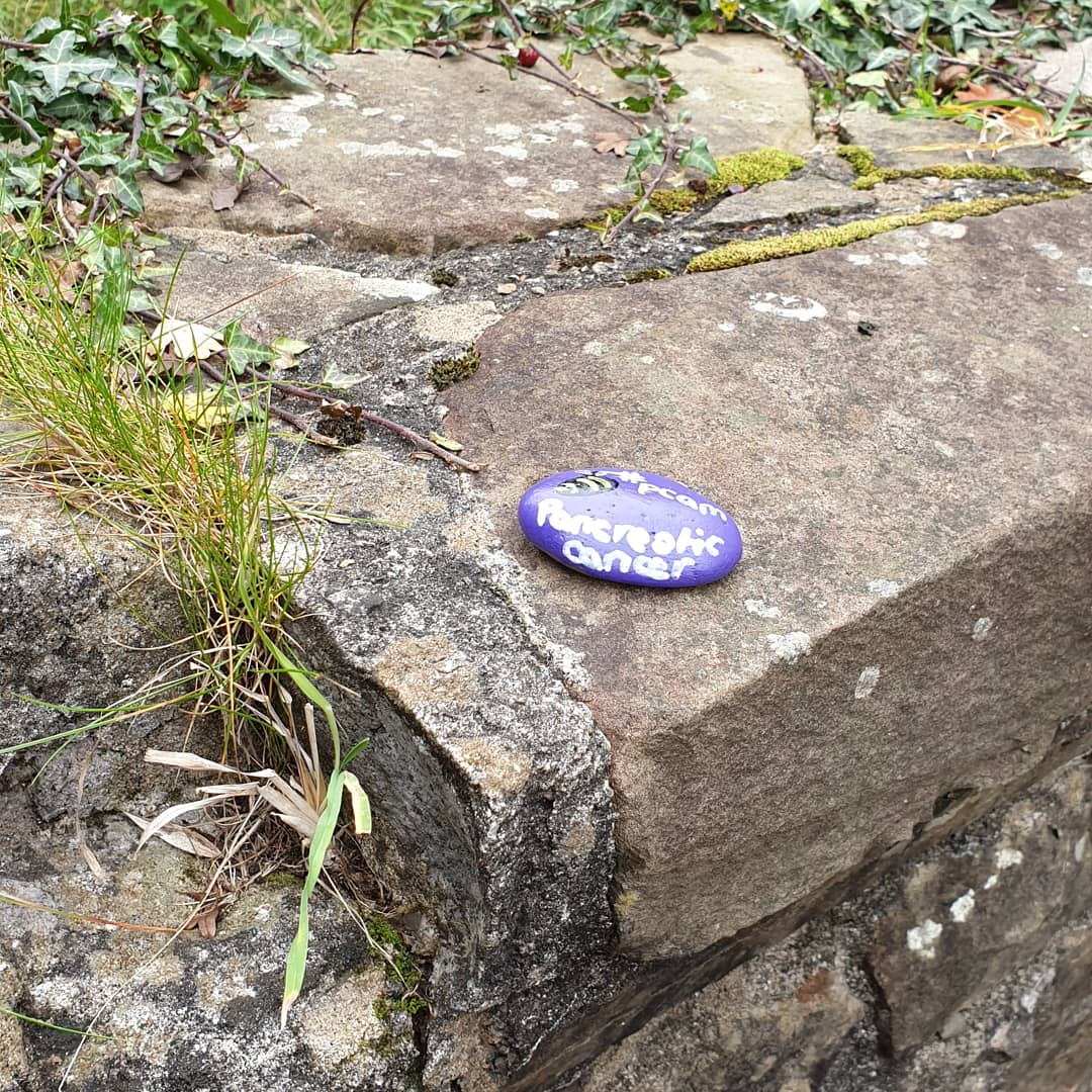 Cuckooqueen's tweet photo. Where did I leave it? #purplerocks #Torfaenrocks for #PancreaticCancer #pcam2020 @PancreaticCanUK πππ https://t.co/WTJcK9o2t2
