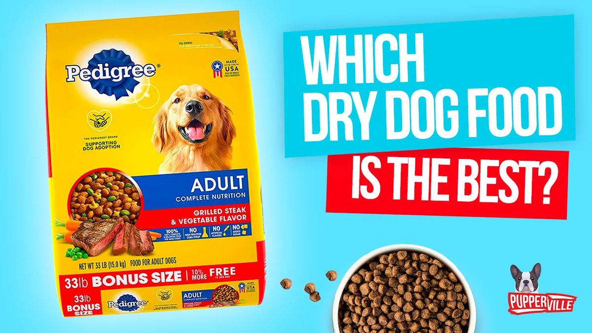 pupperville's tweet photo. 🐶🐶 Which Dry Dog Food is The Best? - https://t.co/XmmEM5Ti8Q #dogfood #drydogfood #dryfood #puppyfood #pupperville https://t.co/2Z45pgxhfu