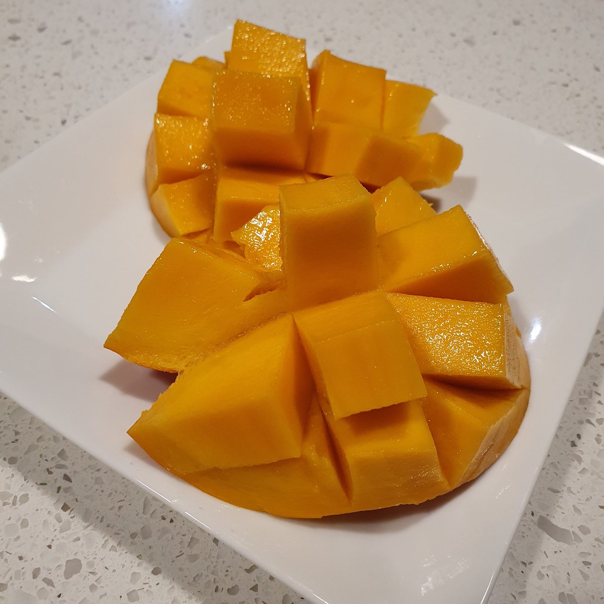 Jessie_Cooking's tweet photo. Summe is calling https://t.co/oWFKTH9qzy