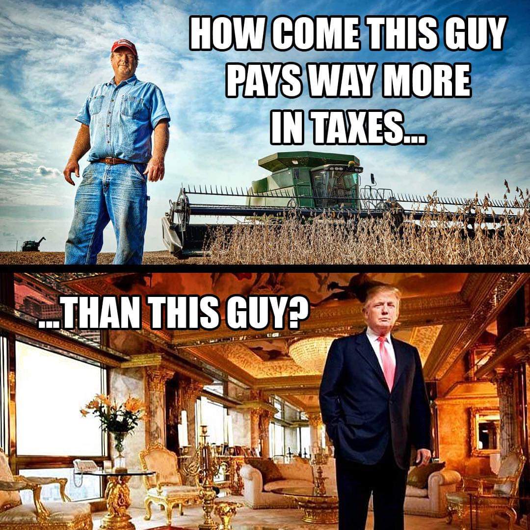 Pennywinkle45's tweet photo. @realDonaldTrump https://t.co/7c3kXslFuW