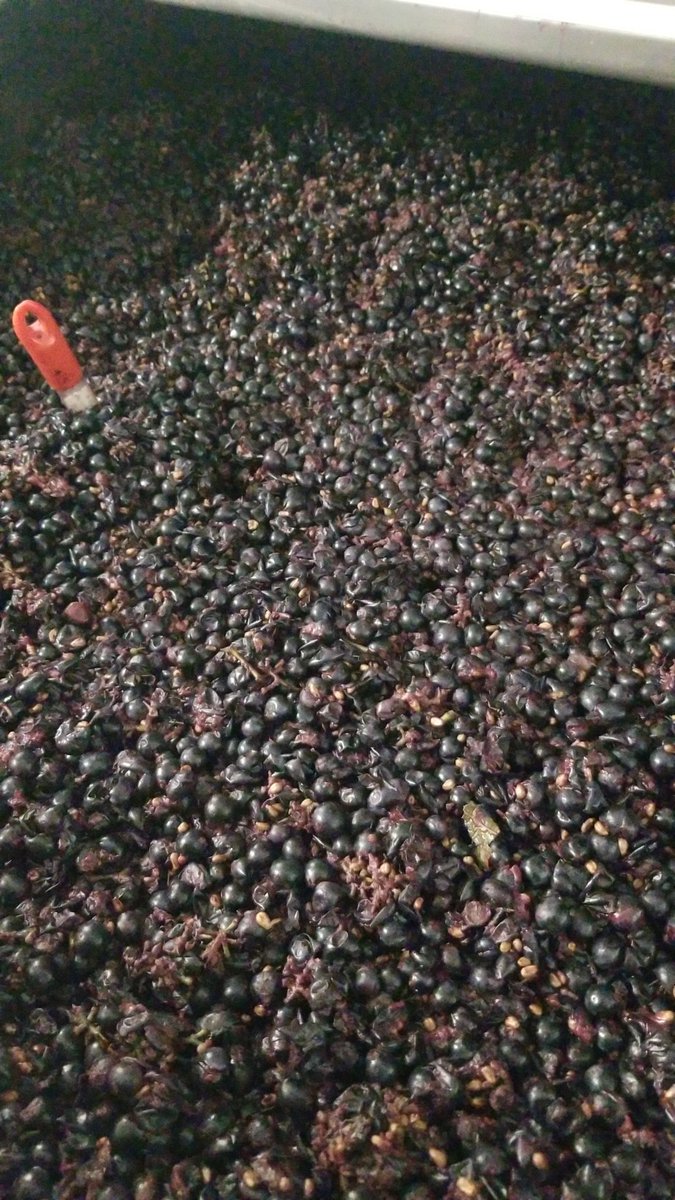 Little Red Wagon Winery tweet media