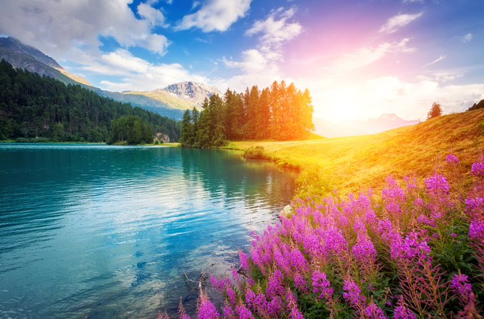 dorianaur's tweet photo. I am not what #happened to me. I am what I #choose to #become. ~ Carl Jung https://t.co/YLlS4Kj85c
#COVID19 #phobia #invest #mentalhealth #therapy #MentalHealthAwareness #depression #SuicidePrevention #SuicideAwareness #anxiety #PTSD #stress #sleep #AddBrain_Inc #Psychiatry https://t.co/ScVwx3Bqiu