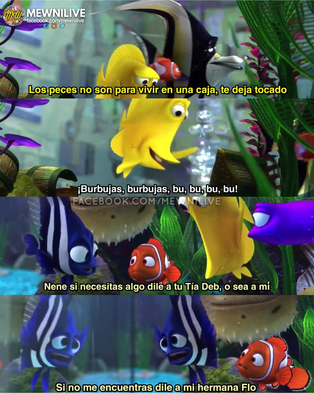 Mewni Live on X: XD 🎥 Película: #BeeMovie (2007)   / X