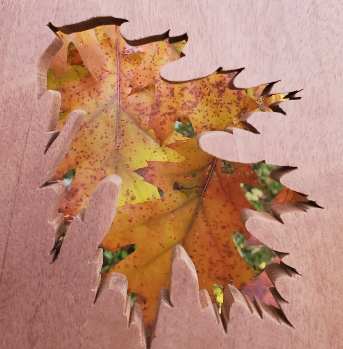 Oniixed's tweet image. Fall N Oak

#woodshop #woodworking #woodworkersofinstagram #woodworker #woodart #woodworkingshop #cabinetmaker #carpenter #woodcraft #diy #maker #furnituremaker #craftsman #epoxyart #resinart #epoxy #resin  #mainewoodworker #mainelife #mainely