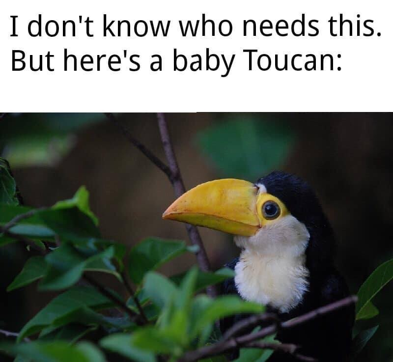 CauseWereGuys's tweet photo. Saturday reminder https://t.co/Sy7ALmE9g8