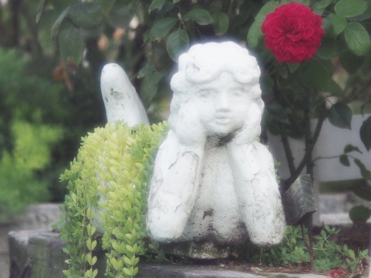 *
ずっと見てたわよ。。
知らなかったでしょ?
ドキッ。。笑
*
#ファインダー越しの私の世界
#フォトロケット
#photography
#coregraphy
#shiohimg
#オールドレンズ倶楽部
#わたしいろ
#レンズ越しの世界
#姫路薔薇園
#ふぉと https://t.co/NRyekLZ6fW