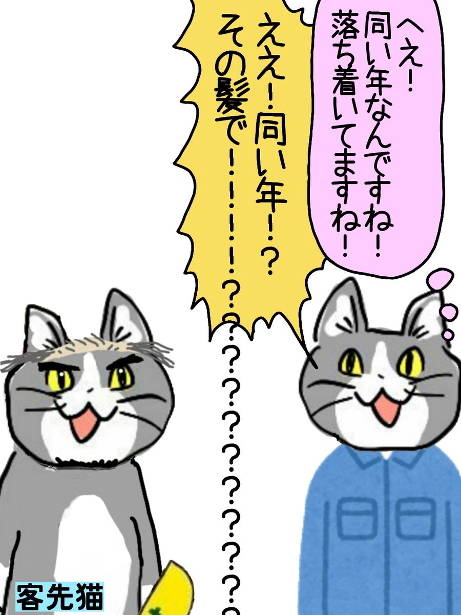 実年齢 知って驚くことがある(五七五) #現場猫 