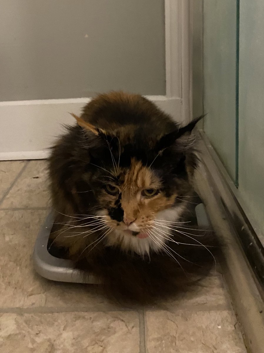 i am very big and I don’t love anyone