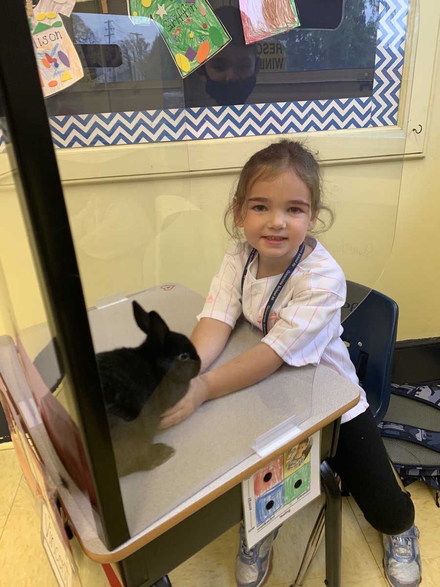 nesposito1229's tweet photo. Bunny buddies!!!  @oceansidelaxmom @jmcgahan31 https://t.co/kGsjDATTTB