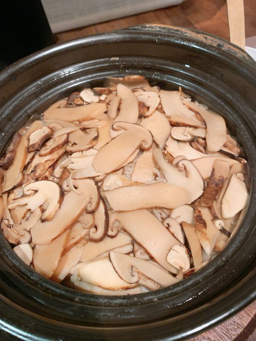 4 pic. Good Oppanyu morning!!!
We have beet to the dinner to eat Matsutake and Sukiyaki!! We feel autumn?
?????????????????
???????????????????????????????