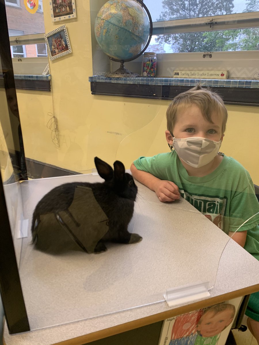 nesposito1229's tweet photo. Bunny buddies in the Goldberg Gang Class!!! @oceansidelaxmom @jmcgahan31 https://t.co/iGF37nZfb9