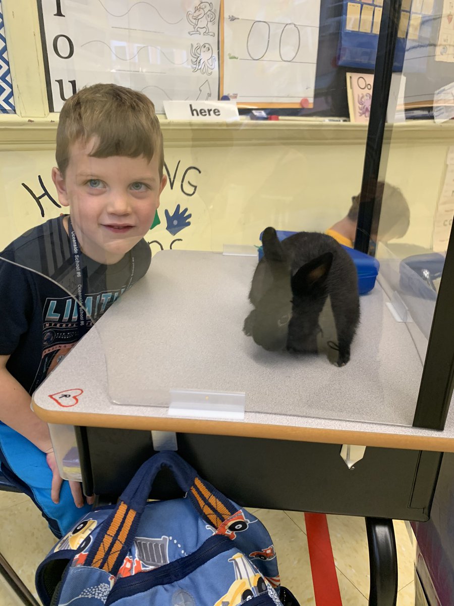 nesposito1229's tweet photo. Bunny buddies!!!! @oceansidelaxmom @jmcgahan31 https://t.co/SxqXz30UnE