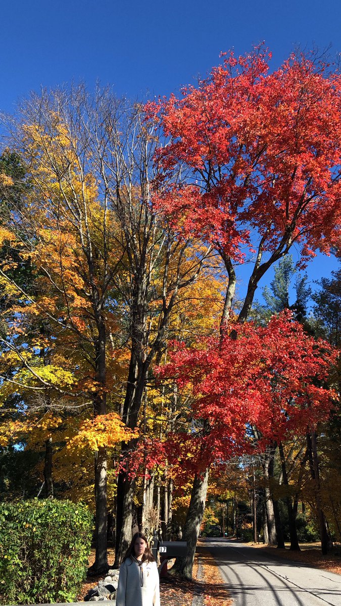 scanna283's tweet photo. gorgeous walk today in new england! @NwEnglndPeakers @MyPeakChallenge @SamHeughan plus my new 34th?!! jacket 🧥 😂 #jacketobsession https://t.co/huJ8cLJMZO