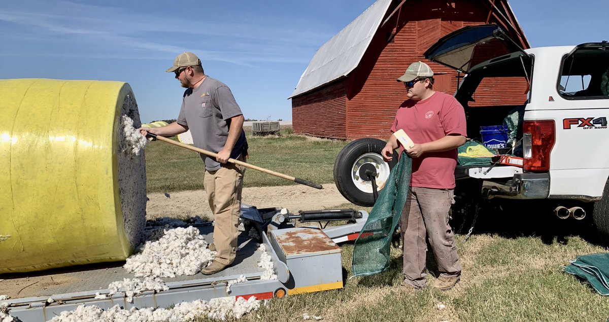 Lindsay_S_S's tweet photo. Got the #UTExtension Haywood Co. Cotton CST & 1 industry trial out today. Thankful for my trusty sidekicks, Freeman & Daniel, that are always willing to work weekends with me. @UTcrops @UTIAg @LucasNOwen #favoritedayattheoffice #bestproducers #soliddata https://t.co/KIuywbZ60R