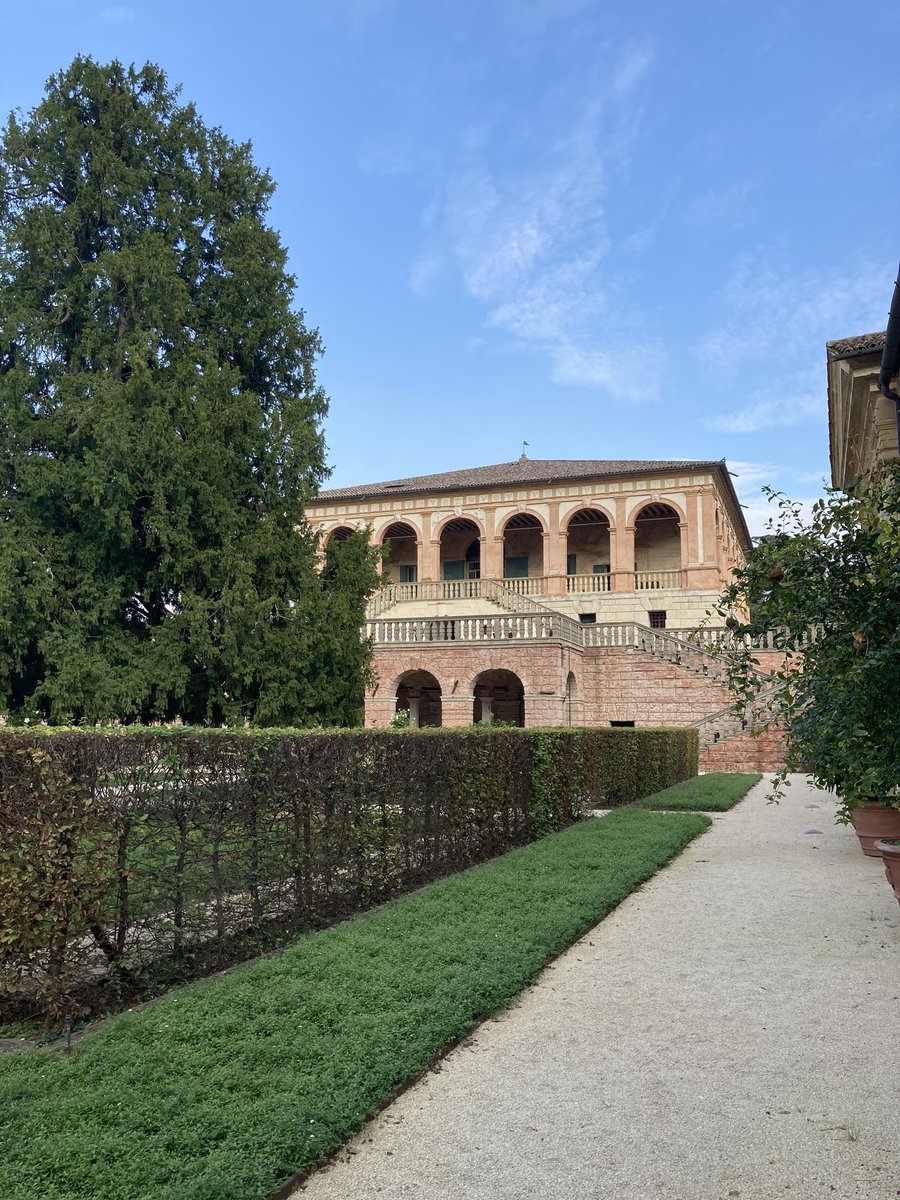 Antonella Donato tweet media