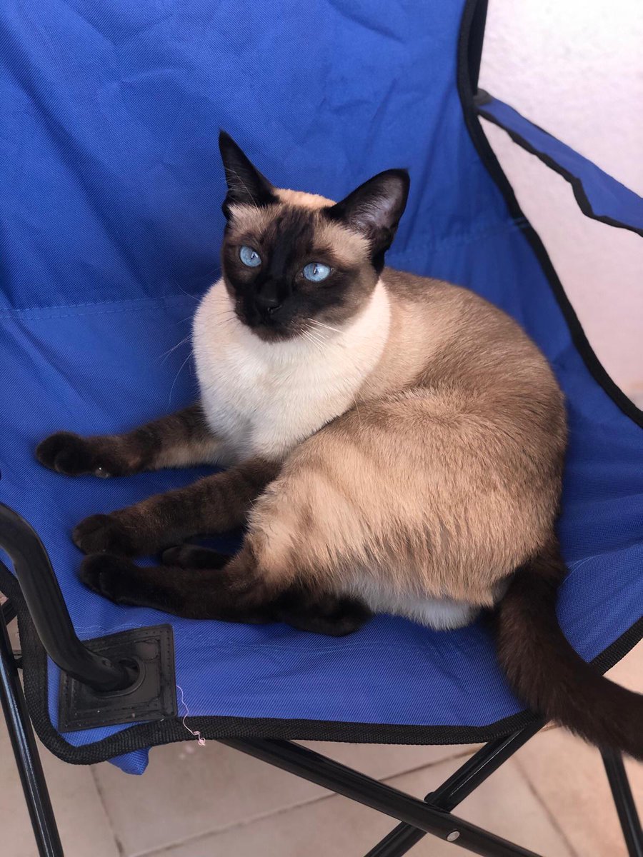 aşkimi birakim dedim.